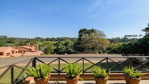 Ein Balkon mit Kakteen in Töpfen und Blick auf ein Wohngebiet mit Häusern und Grünflächen.