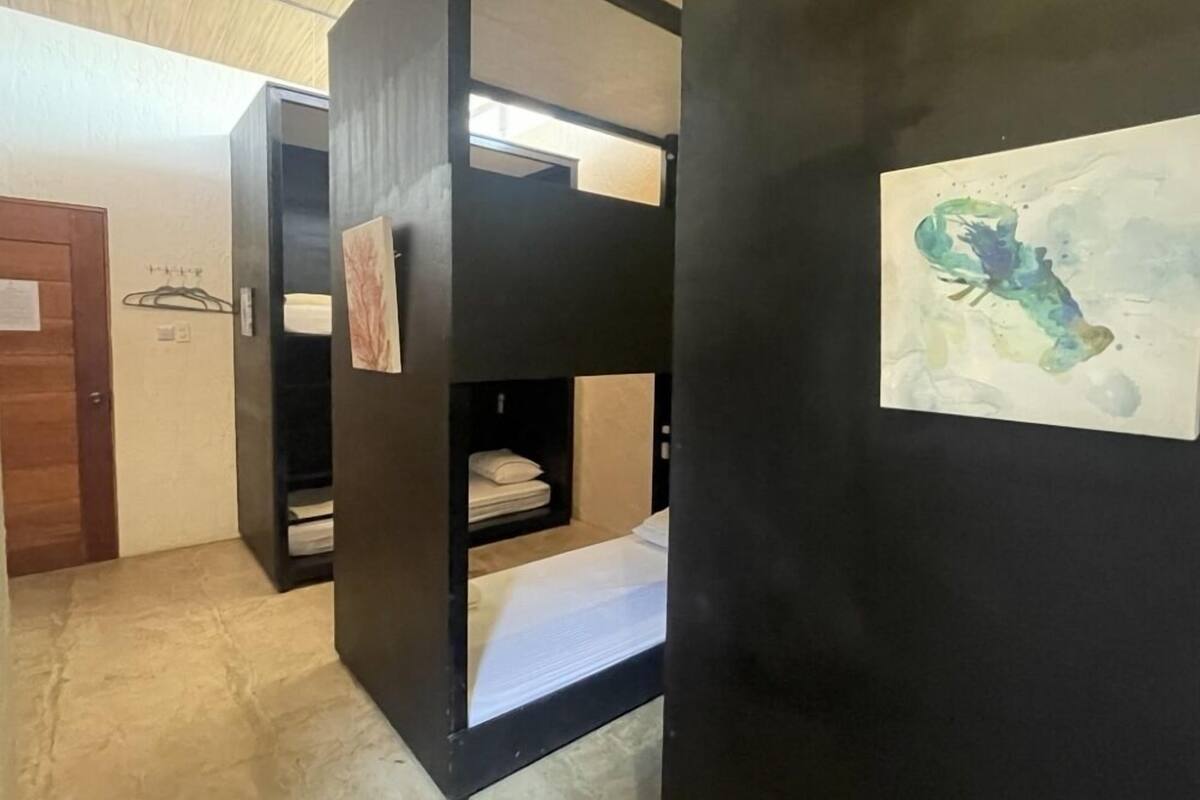 Una habitación con literas, una puerta de madera y un cuadro en la pared.