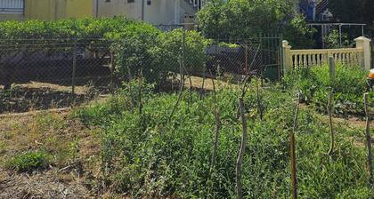 Inviting 1-bed Apartment in KomiĆŸa