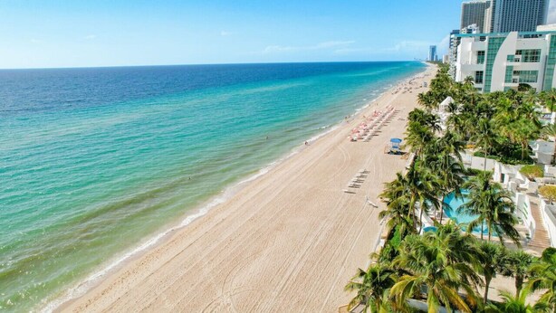 A beach with a pool and palm trees, adjacent to a hotel with a view of the ocean. - Deluxe 1-bed 2-bath ocean front free valet parking on the beach (Hollywood)
