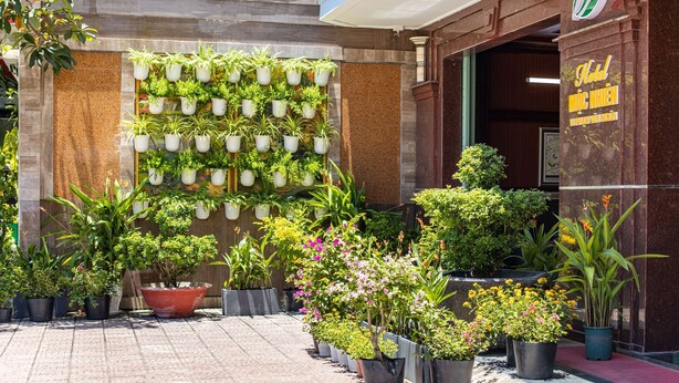 L’entrée d’un hôtel, agrémentée d’un jardin vertical composé de plantes en pot et d’une enseigne indiquant le nom de l’hôtel.