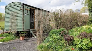A small, green, single-room structure with a door, situated in a garden with various plants and shrubs. - Cosy, peaceful & secluded lakeside cabin. BBQ, Firepit, Fishing, Dogs welcome. (Hadlow Down)
