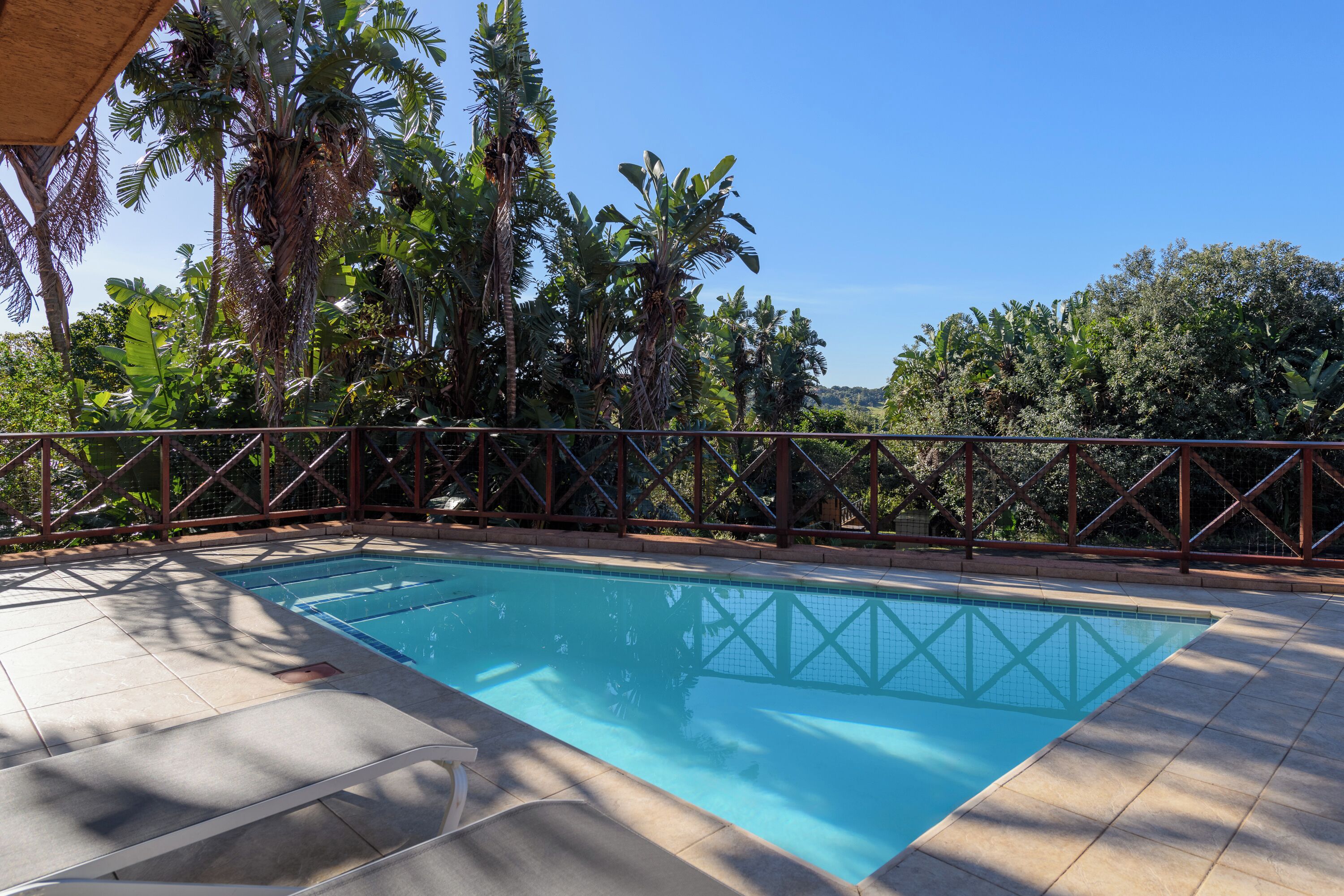 Una piscina rectangular con borde de baldosas, rodeada por una cerca metálica y palmeras.