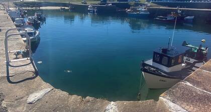 Cosy coastal cottage in Portsoy, Scotland with beautiful sea views