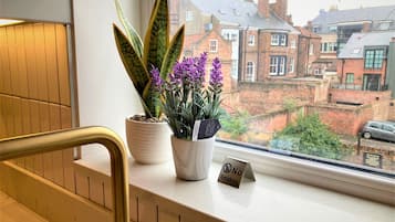 ์ํํธ | 2 ๊ฐ์ ์นจ์ค