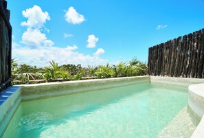 Private pool - Luxury Penthouse in Aldea Zama, private pool and rooftop, 24 7 security in a gated community (Tulum)
