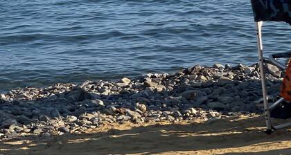 ArtHouse Santa Marinella B&B (beach)
