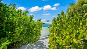 A pathway flanked by lush green foliage leading to a building with a white exterior and a blue roof.