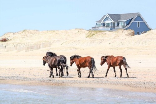 Vacation Cottage – Enjoy 4WD Beach, Hottub, Wild Horses & Canalfront Views