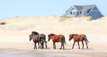 Vacation Cottage – Enjoy 4WD Beach, Hottub, Wild Horses & Canalfront Views