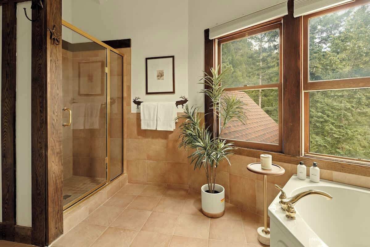 Shower, hair dryer, towels, shampoo