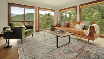 TV, fireplace, offices