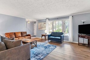 Télévision, cheminée, espaces bureaux