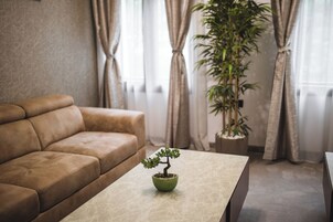 华丽公寓 | 起居区 | 32-英寸智能电视（配备有线频道）