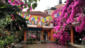 A courtyard with a building labeled "Sun Rise Cottage," surrounded by lush greenery and pink flowers. - Sunrise Cottage (Kathmandu)