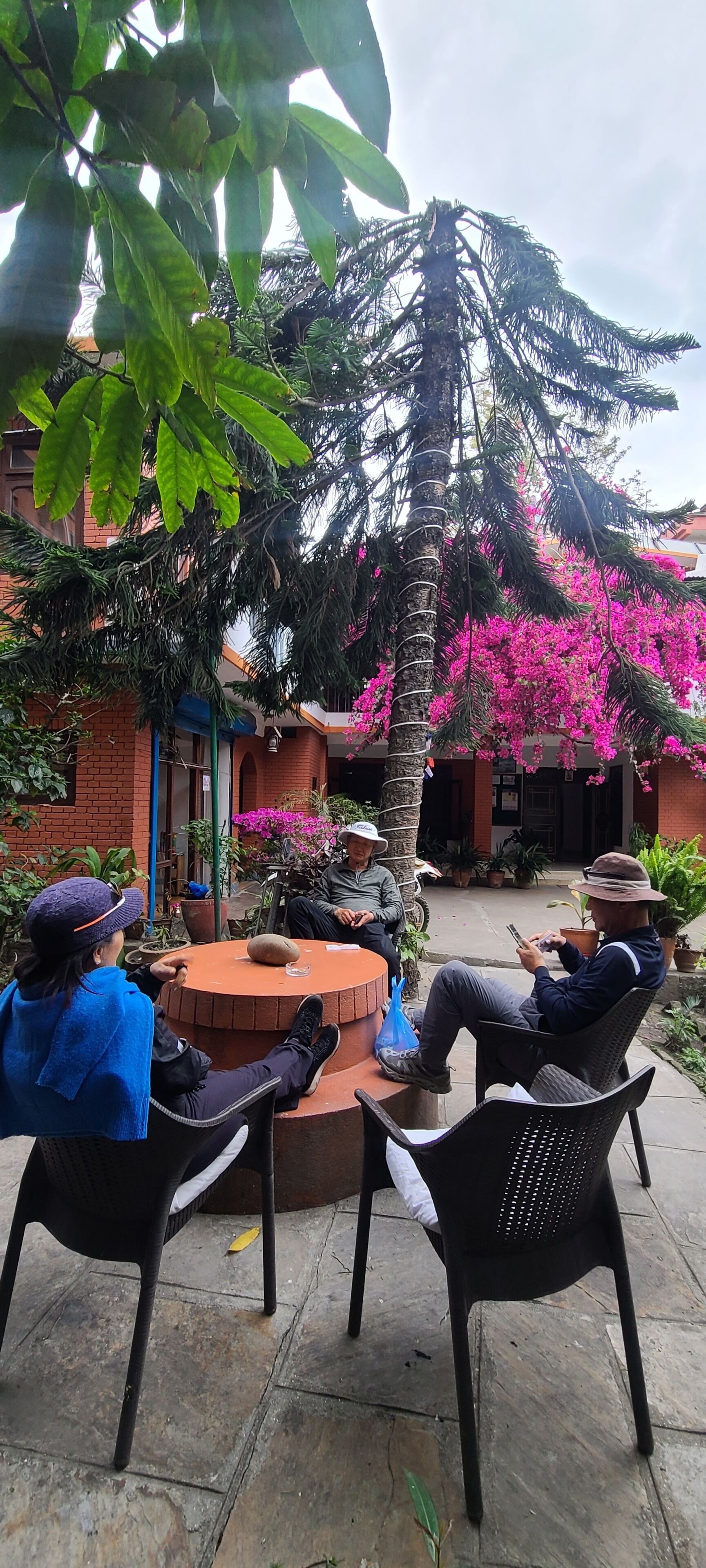 A courtyard with a round table and chairs, surrounded by potted plants and a palm tree.