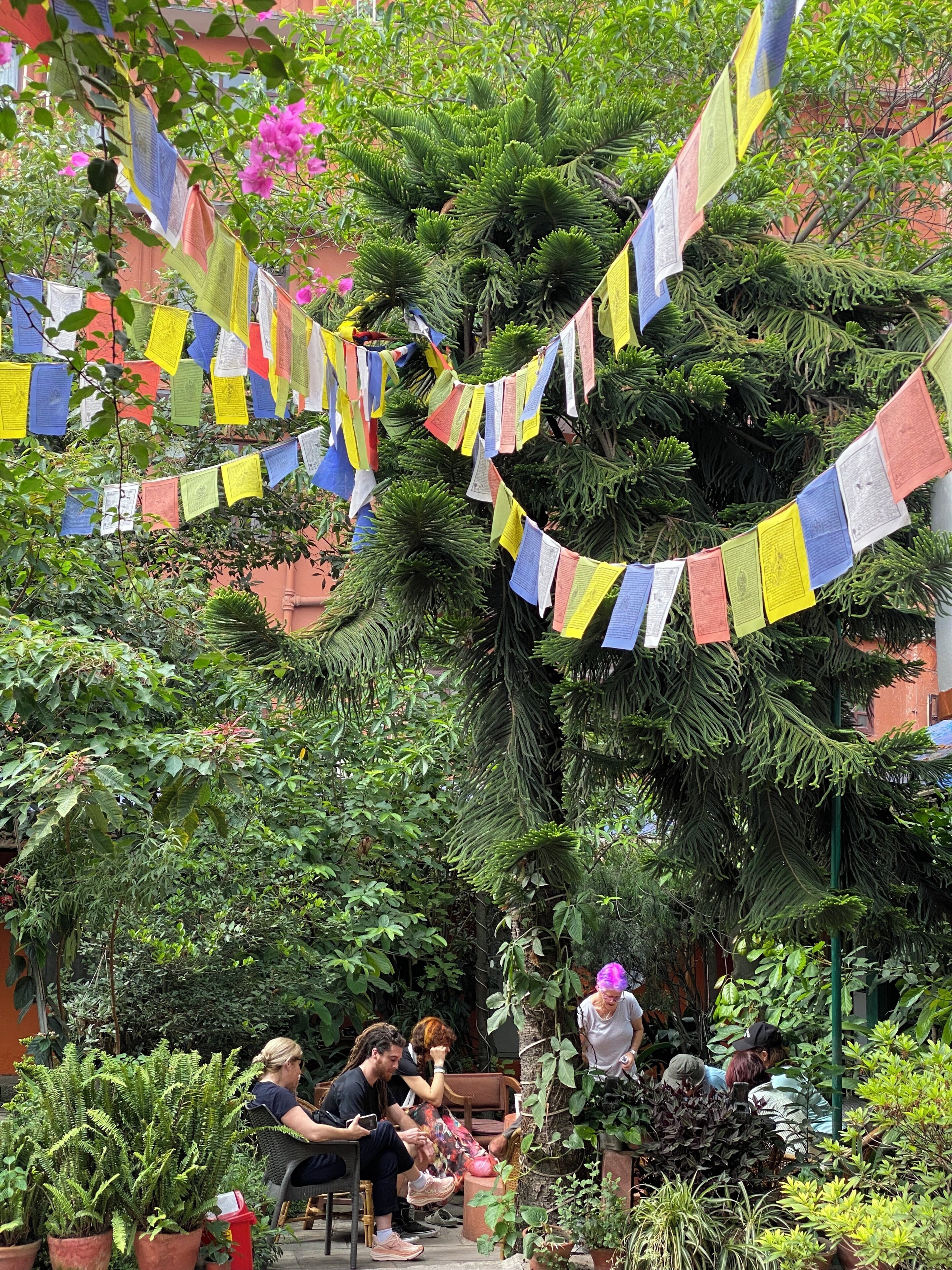 A garden with prayer flags, potted plants, and people sitting and relaxing.