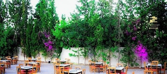 Hôtel Excel Hammamet
