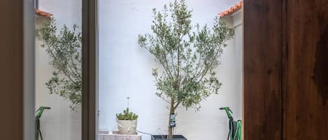 On aperçoit, à travers une porte vitrée, un espace extérieur aménagé avec une table et des chaises, entouré de verdure et bordé d’un mur blanc.