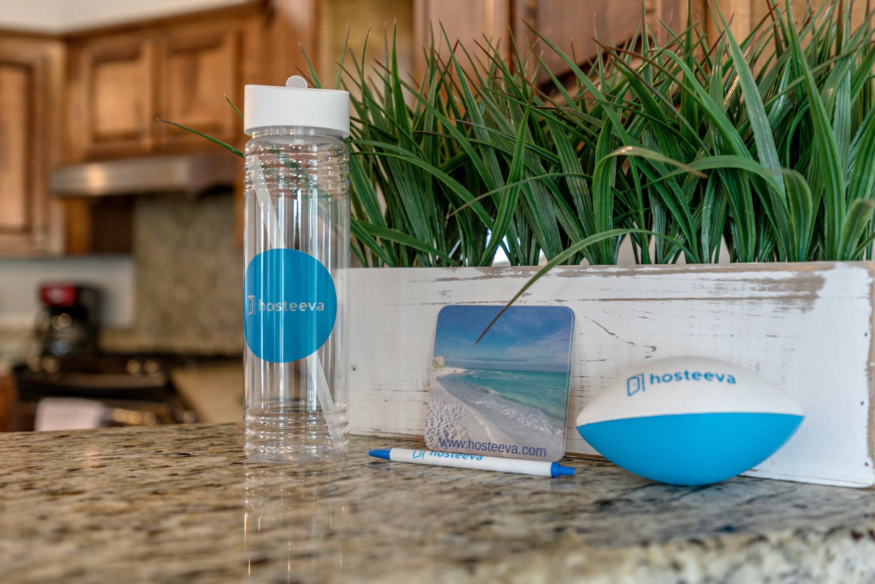 Une bouteille d’eau transparente avec un bouchon blanc et une étiquette bleue, un pot de fleurs blanc contenant des plantes vertes, et une carte postale représentant une scène de plage et le logo « hosteeva ».