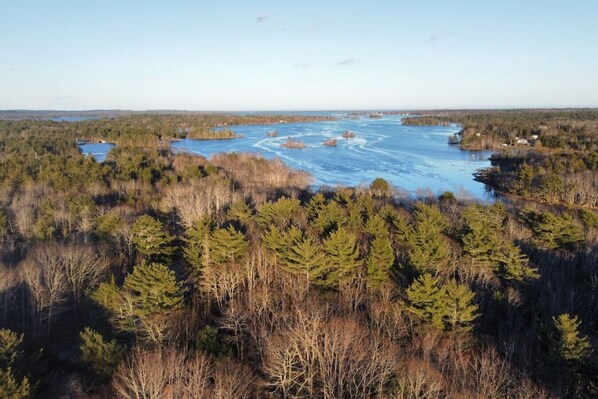 Une zone boisée avec une rivière et un petit bâtiment.