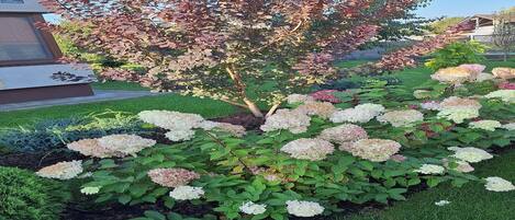 Terrain de lâhĂ©bergement