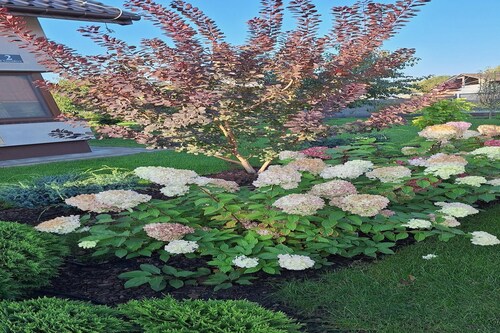 Wohnung in Stepnica am Stettiner Haff