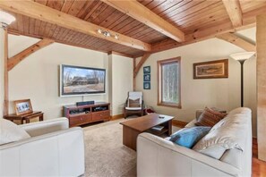 TV, fireplace, books
