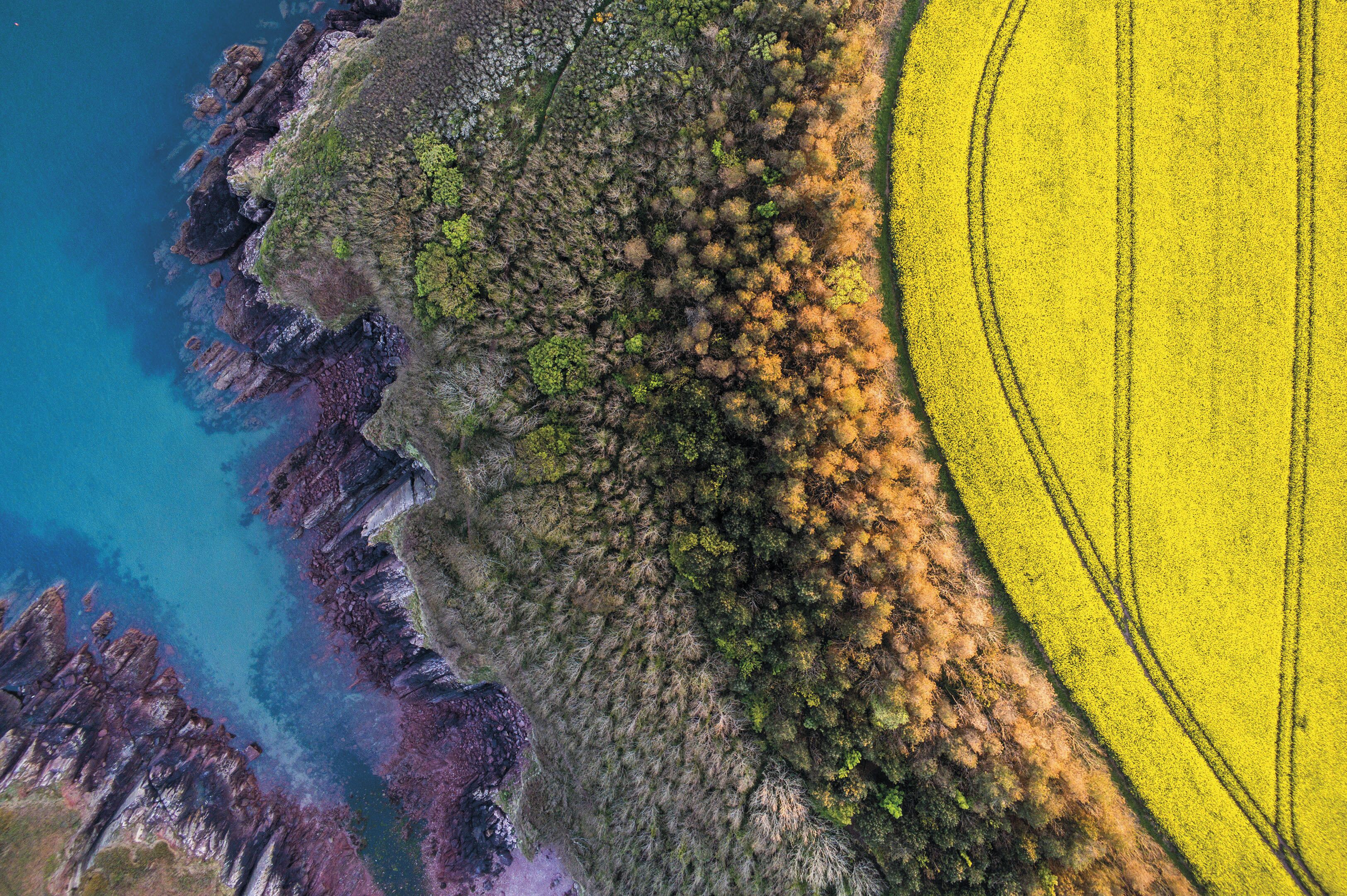 An aerial view of a coastal area with rocky cliffs, a forested area, and a yellow field.