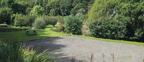 A gravel path leading to a grassy area with a bench.
