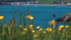 Eine Küstenstadt mit freiem Blick auf das Meer, Segelbooten und einem grasbewachsenen Vordergrund mit gelben Blumen.