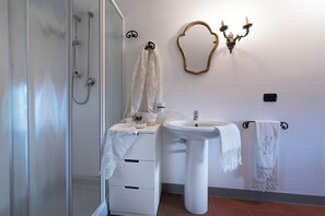 Shower, hair dryer, bidet, towels