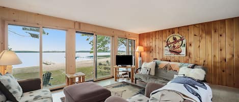 Télévision, cheminée, lecteur de DVD