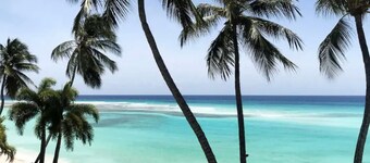 비치 앞의 콘도미니엄 아파트