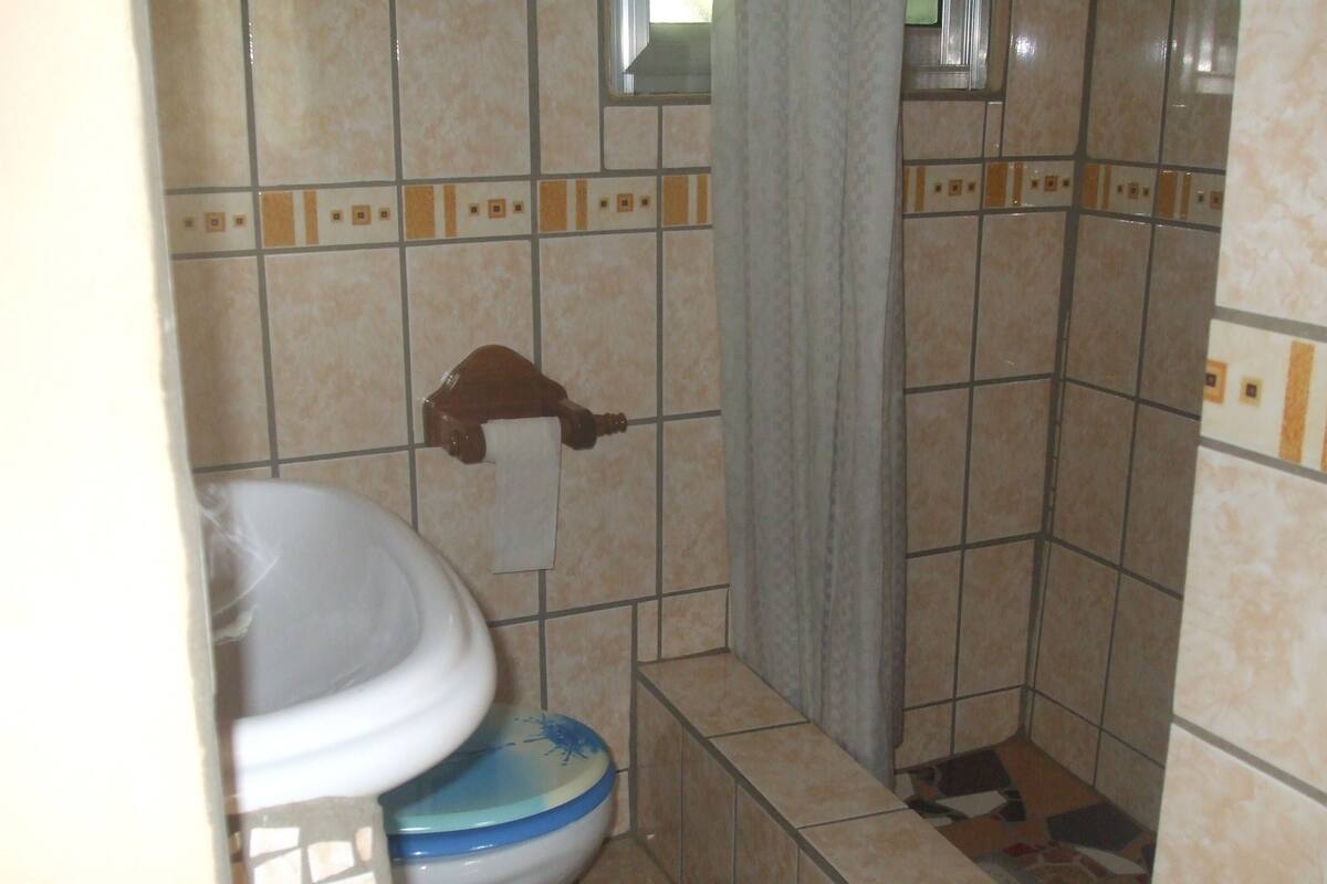 Un baño pequeño con inodoro, lavabo y cortina de ducha.