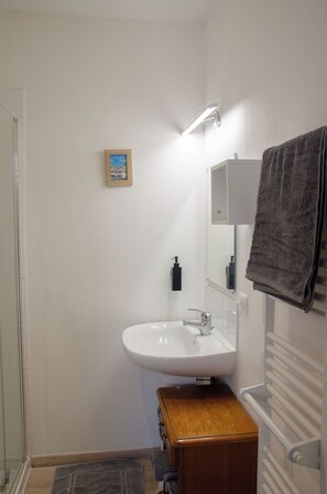 Basic Room | Bathroom | Shower, free toiletries, hair dryer, towels - Le Relais de Louis (Orbigny)
