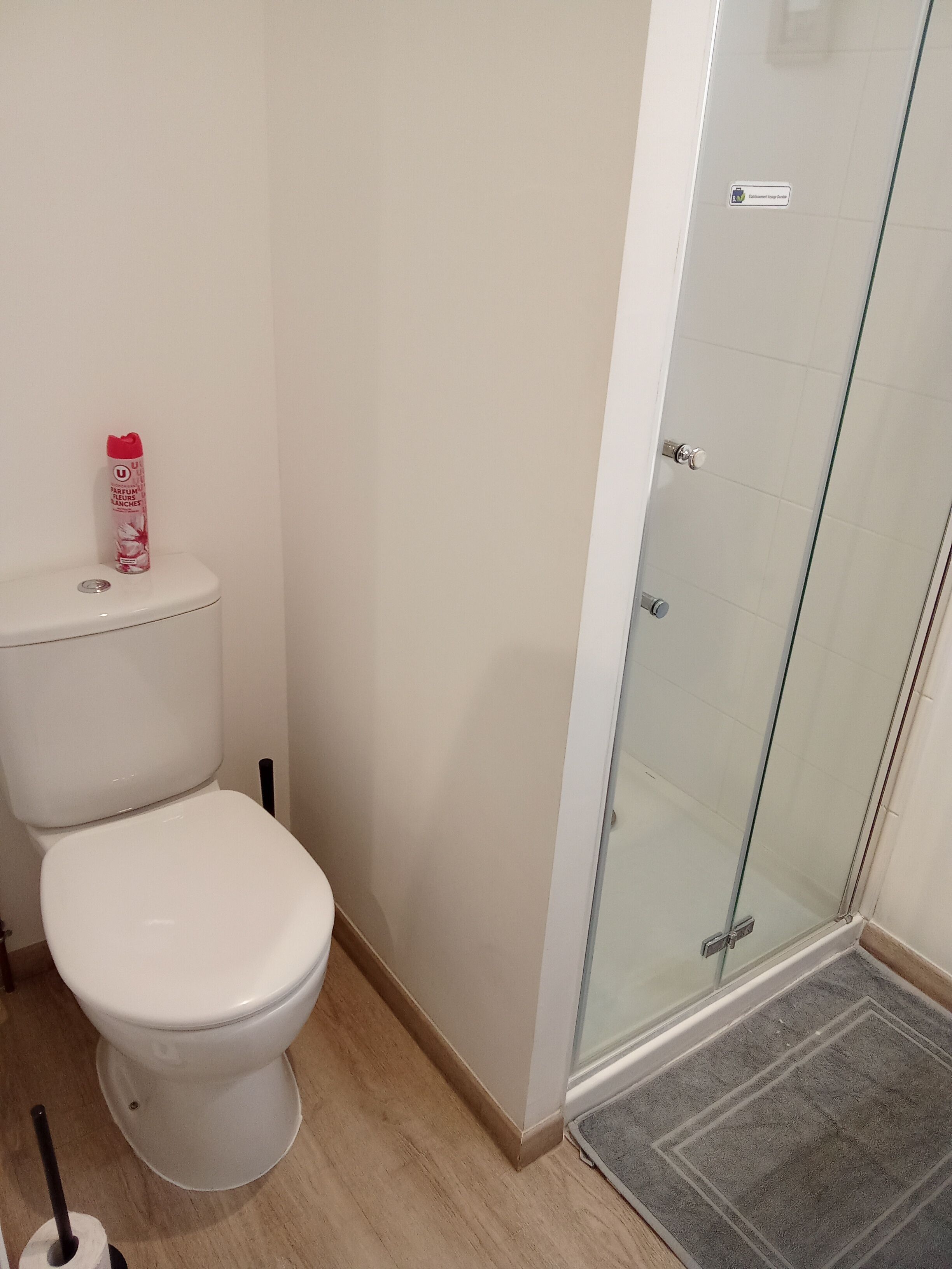 Basic Room | Bathroom | Shower, free toiletries, hair dryer, towels