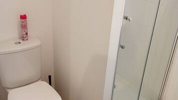 Basic Room | Bathroom | Shower, free toiletries, hair dryer, towels