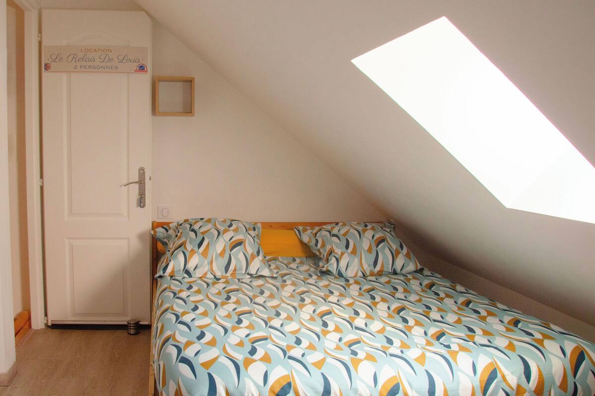 A bedroom with a bed, a door, and a skylight.