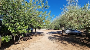 Casa, para fumantes | 1 quarto