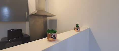 Full-sized fridge, microwave, oven, toaster