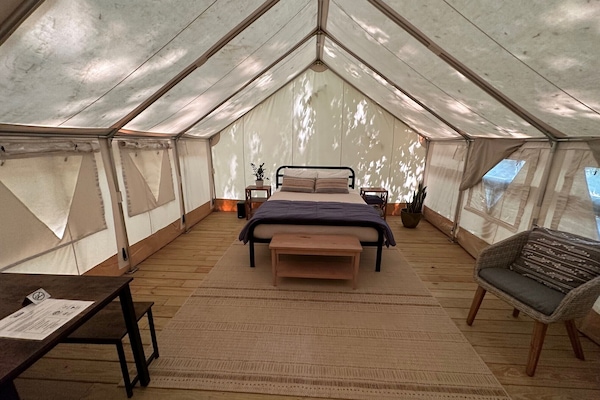 1 habitación y ropa de cama