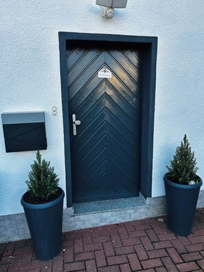 Een zwarte deur met een chevrondessin, een brievenbus en twee potplanten.