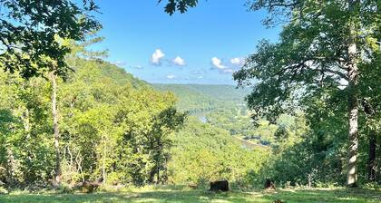 The Stone Cottage! Private with incredible views of the River and Mountains.