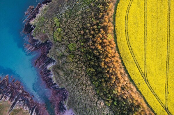 Vista aérea de una zona costera con costa rocosa, un campo de flores amarillas y una masa de agua.