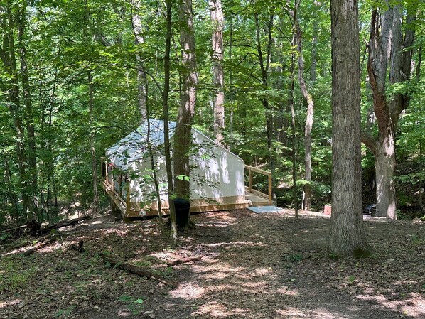 Een chalet in een bos met een houten terras en een klein buitengebied.