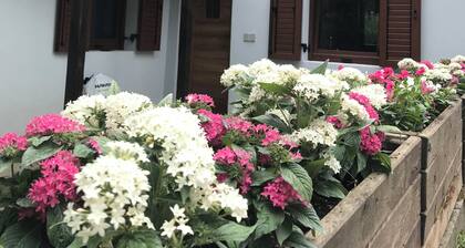 Idyllische Ferienwohnung im Zentrum, Fussnähe Skilifte, tolle Sommerwanderung