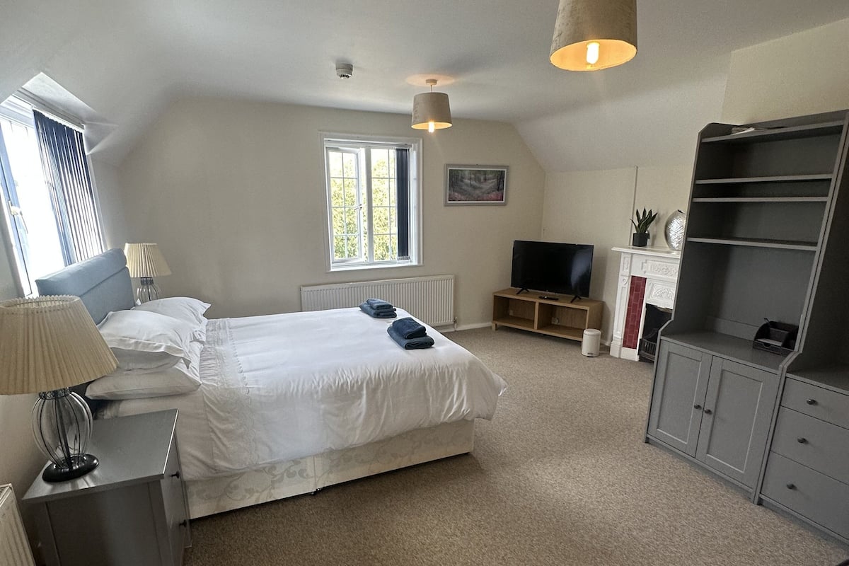 A bedroom with a bed, a TV, a desk, and a shelving unit.