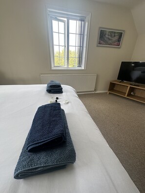 Panoramic Double Room