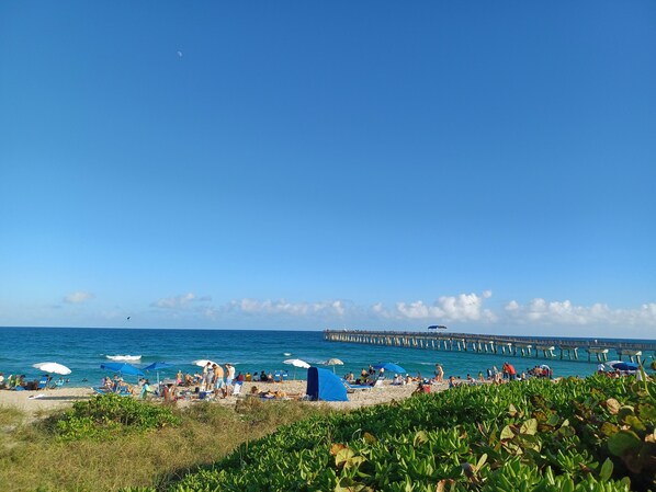 Una playa con gente, sombrillas y un muelle al fondo.